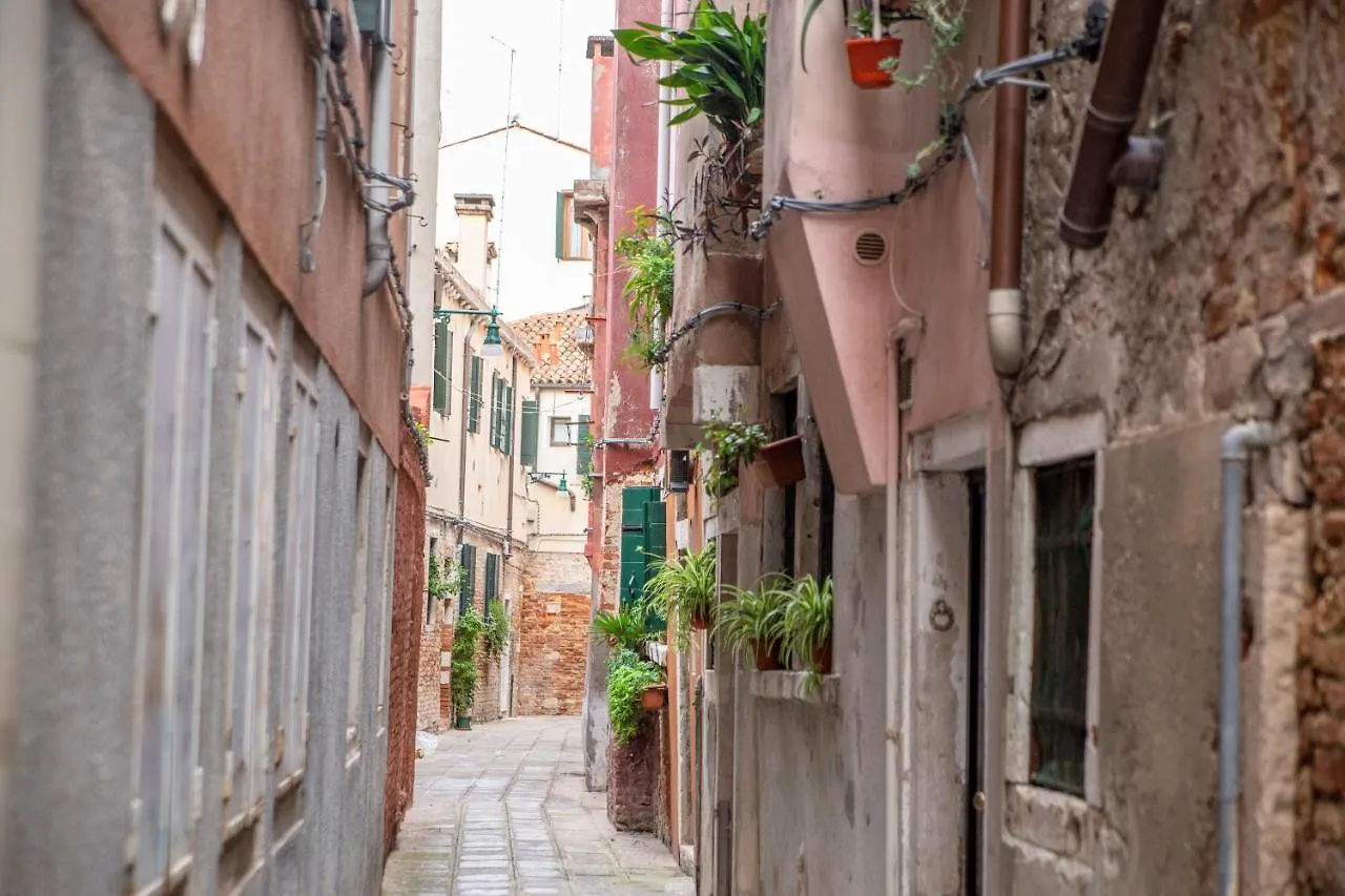 Appartamento Ca' Gritti Venezia 0*,  Italia